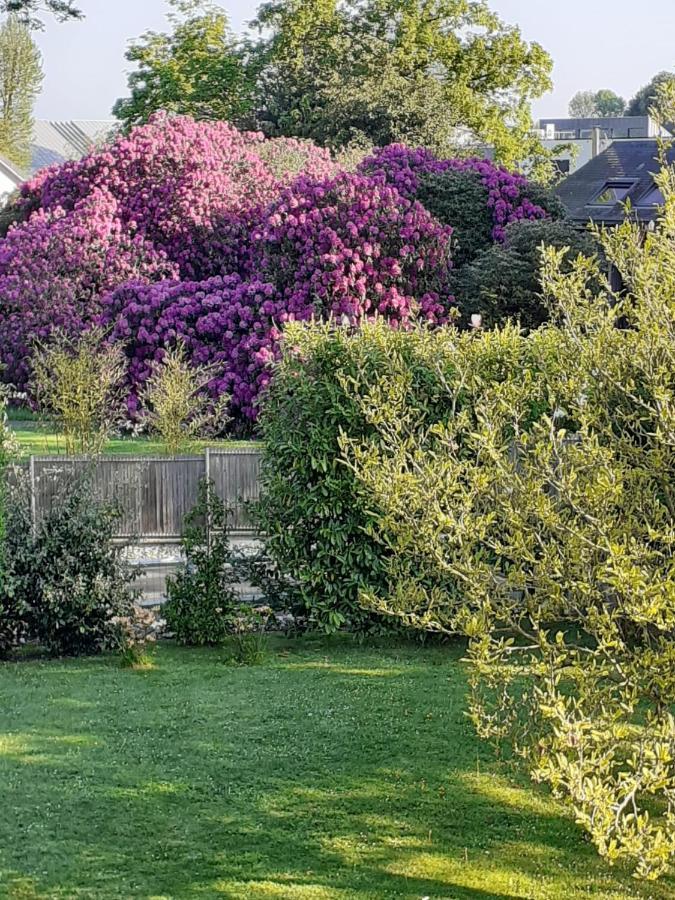Manoir De L'As De Trefle Bed & Breakfast Isneauville Exterior photo